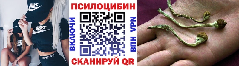 Галлюциногенные грибы MAGIC MUSHROOMS Никольск